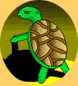 Tortoise And The Geese